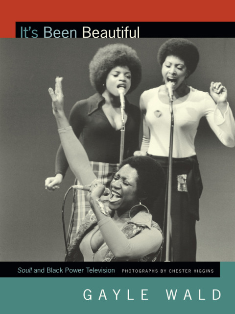 Cover image for book It's Been Beautiful