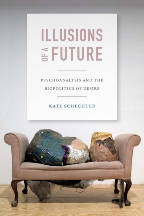 Cover image for book Illusions of a Future