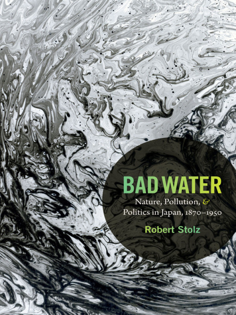 Cover image for book Bad Water