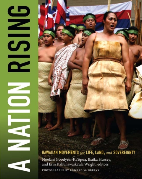 Cover image for book A Nation Rising