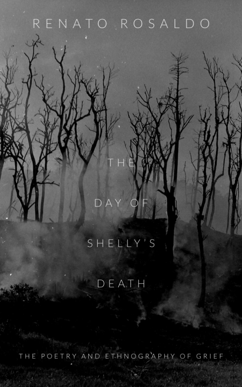 Cover image for book The Day of Shelly's Death