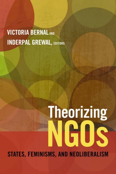 Cover image for book Theorizing NGOs