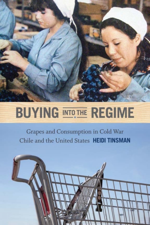 Cover image for book Buying into the Regime