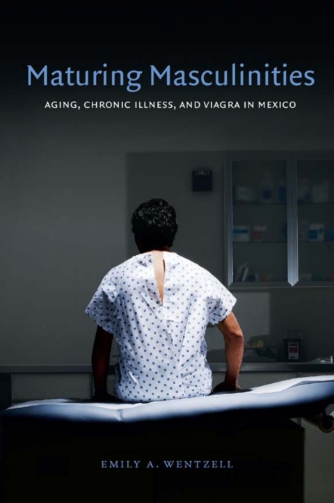Cover image for book Maturing Masculinities