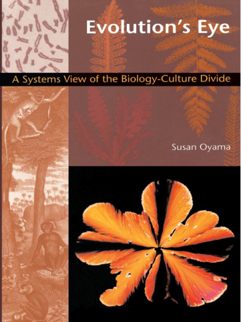 Cover image for book Evolution's Eye