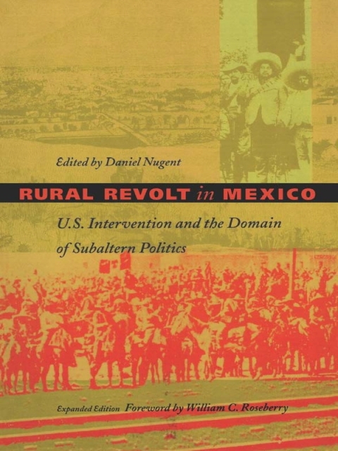 Cover image for book Rural Revolt in Mexico