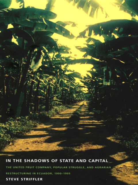 Cover image for book In the Shadows of State and Capital