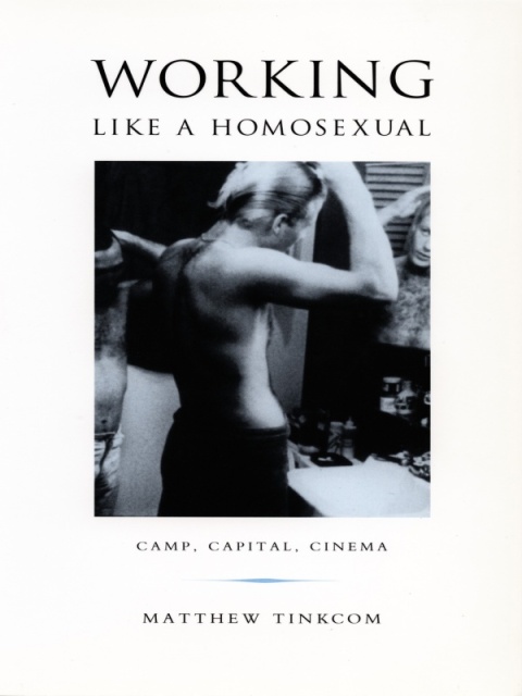 Cover image for book Working Like a Homosexual