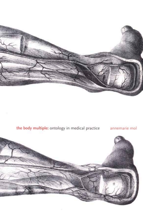 Cover image for book The Body Multiple