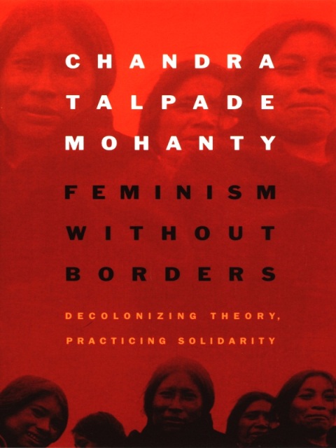 Cover image for book Feminism without Borders