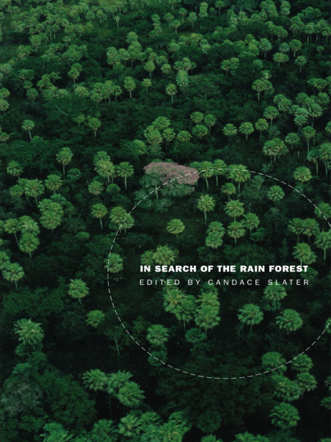 Cover image for book In Search of the Rain Forest