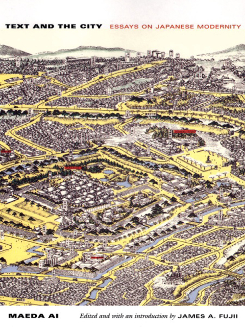 Cover image for book Text and the City