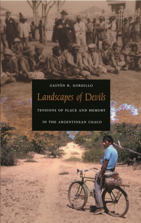 Cover image for book Landscapes of Devils