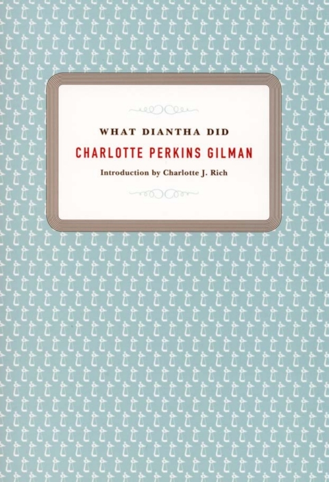 Cover image for book What Diantha Did