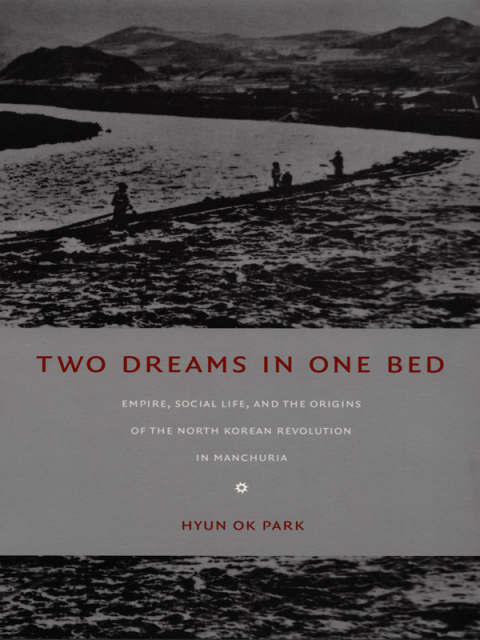 Cover image for book Two Dreams in One Bed