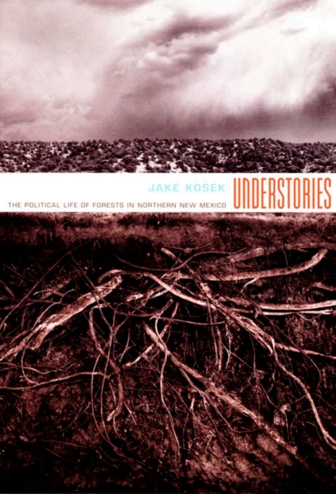 Cover image for book Understories