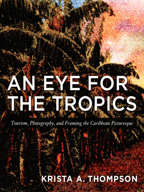 Cover image for book An Eye for the Tropics