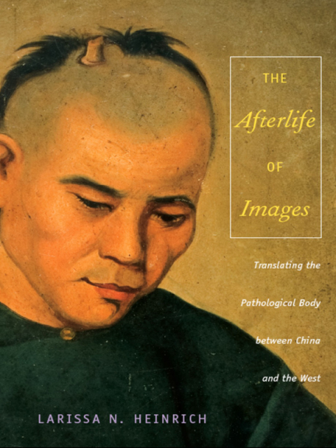 Cover image for book The Afterlife of Images