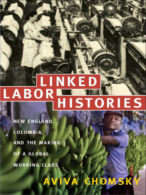 Cover image for book Linked Labor Histories