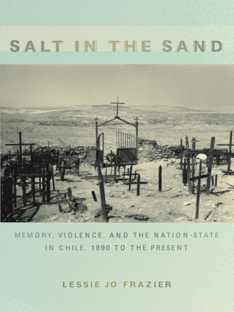 Cover image for book Salt in the Sand