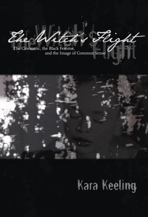 Cover image for book The Witch's Flight