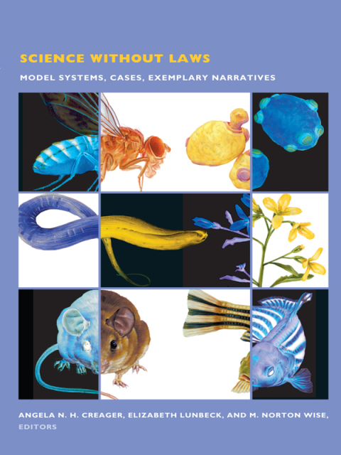 Cover image for book Science without Laws