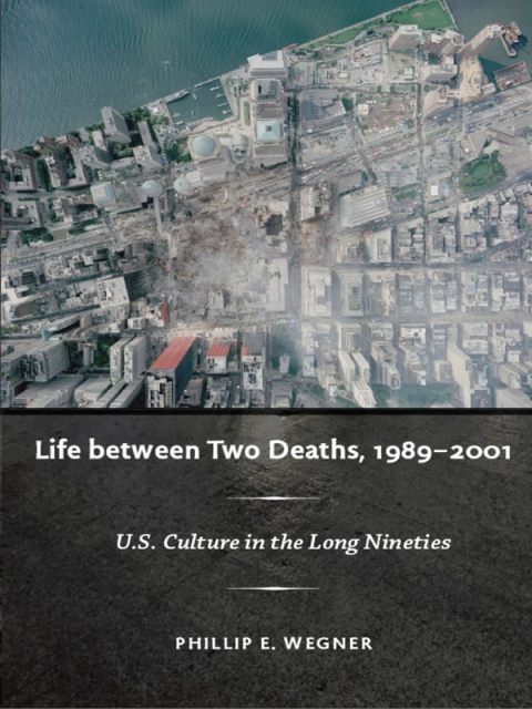 Cover image for book Life between Two Deaths, 1989-2001