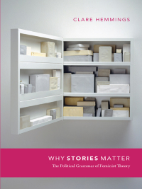 Cover image: Why Stories Matter 9780822348931