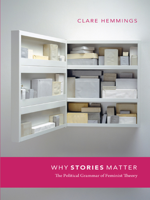 Cover image for book Why Stories Matter