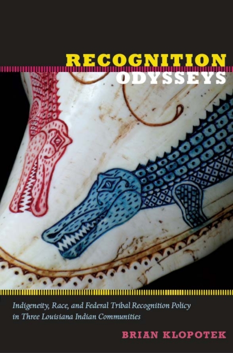 Cover image for book Recognition Odysseys