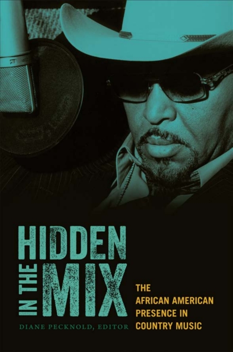 Cover image for book Hidden in the Mix