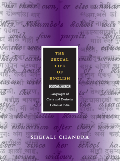Cover image for book The Sexual Life of English