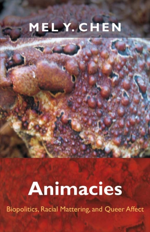 Cover image for book Animacies