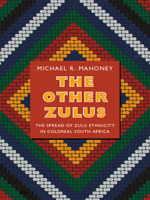Cover image for book The Other Zulus