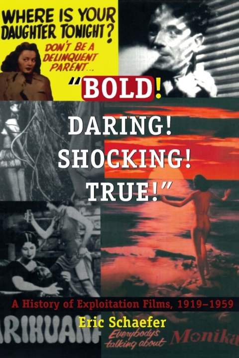 Cover image for book Bold! Daring! Shocking! True!