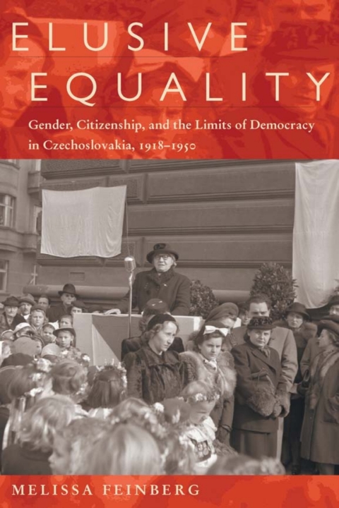 Cover image for book Elusive Equality
