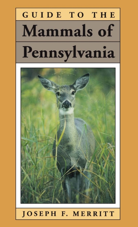 Cover image for book Guide to the Mammals of Pennsylvania