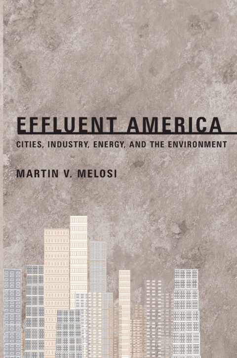 Cover image for book Effluent America