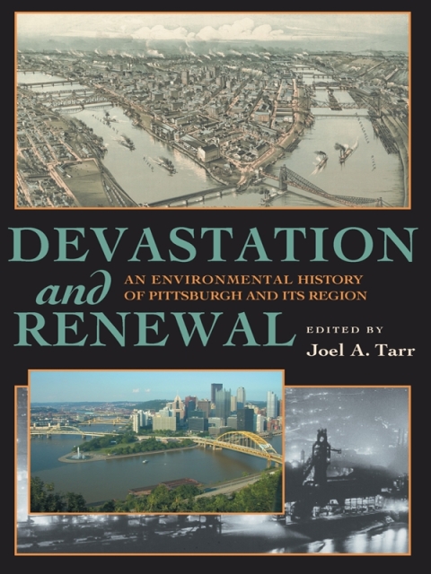 Cover image for book Devastation and Renewal