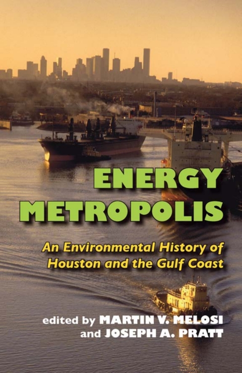 Energy Metropolis 