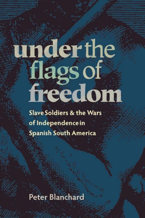 Cover image for book Under the Flags of Freedom