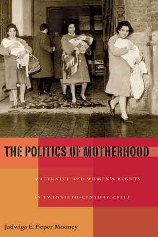 The Politics of Motherhood