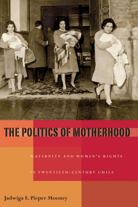 Cover image for book The Politics of Motherhood