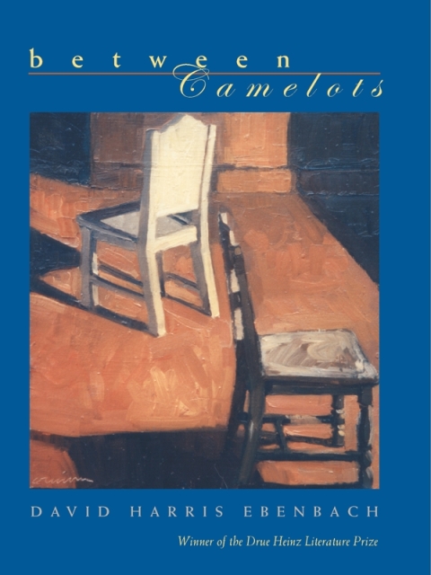 Cover image for book Between Camelots