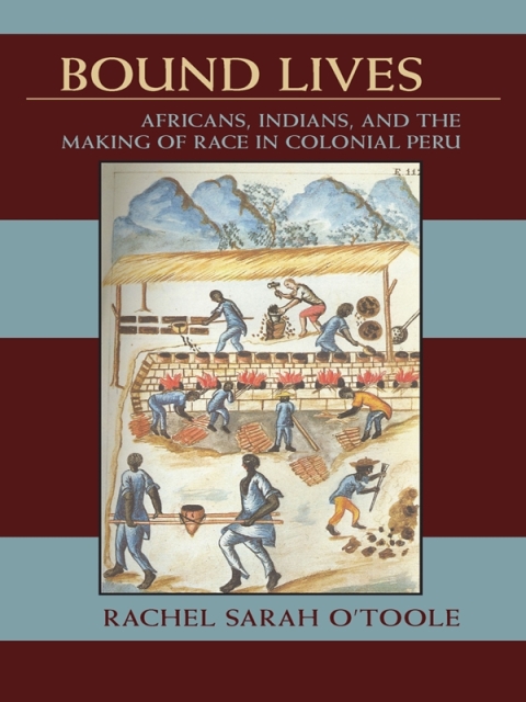 Cover image for book Bound Lives