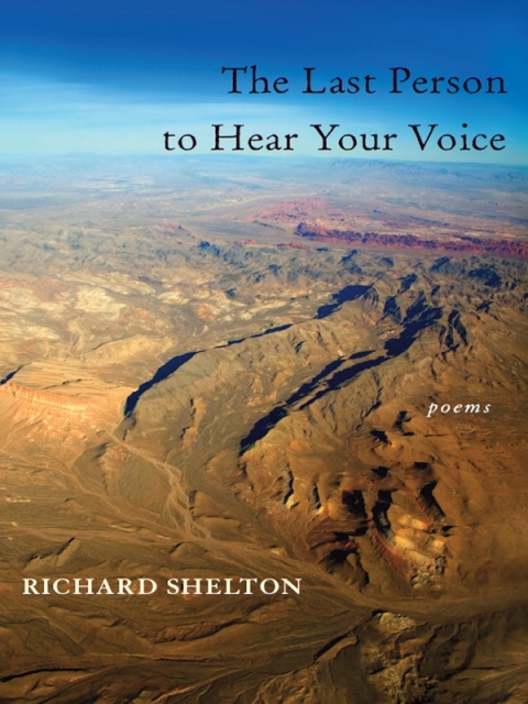 Cover image for book The Last Person to Hear Your Voice