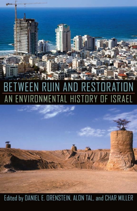 Cover image for book Between Ruin and Restoration