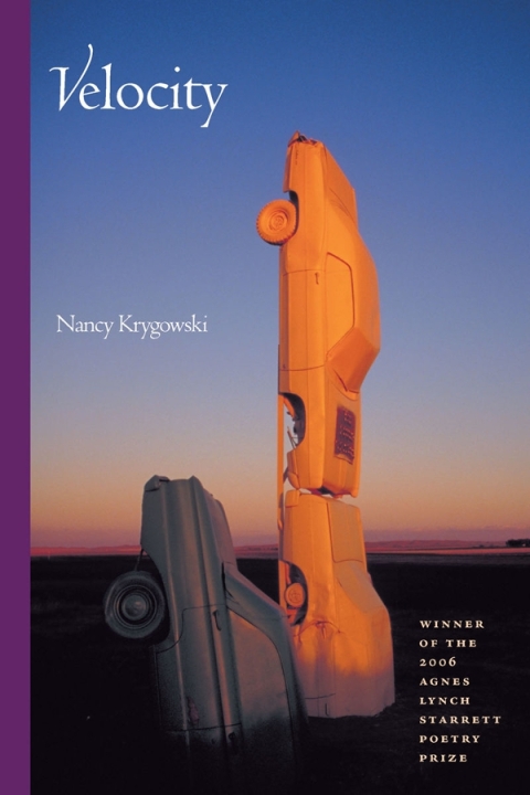 Cover image for book Velocity