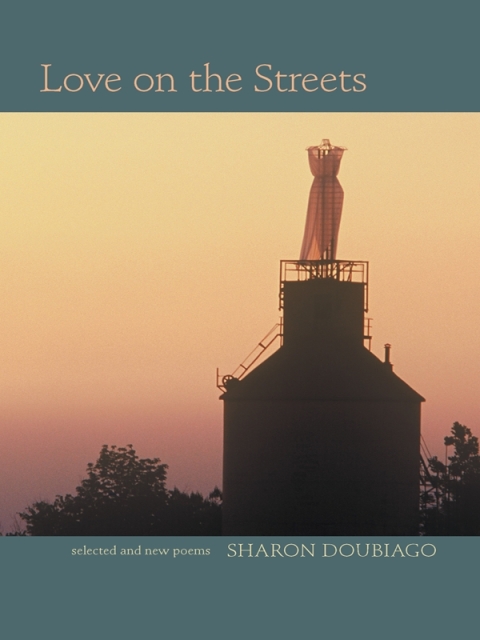 Cover image for book Love on the Streets