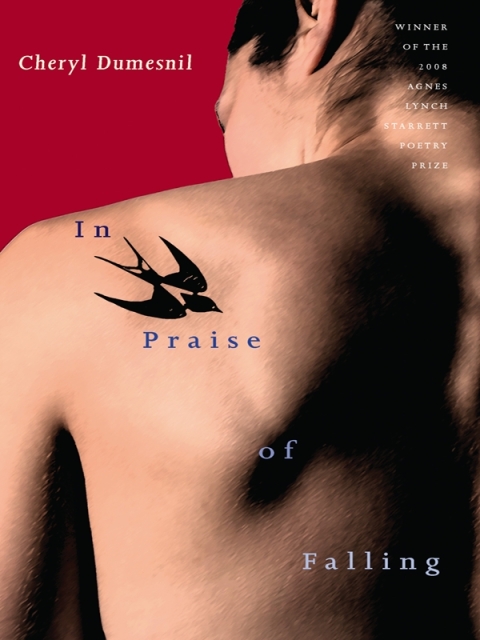 Cover image for book In Praise of Falling